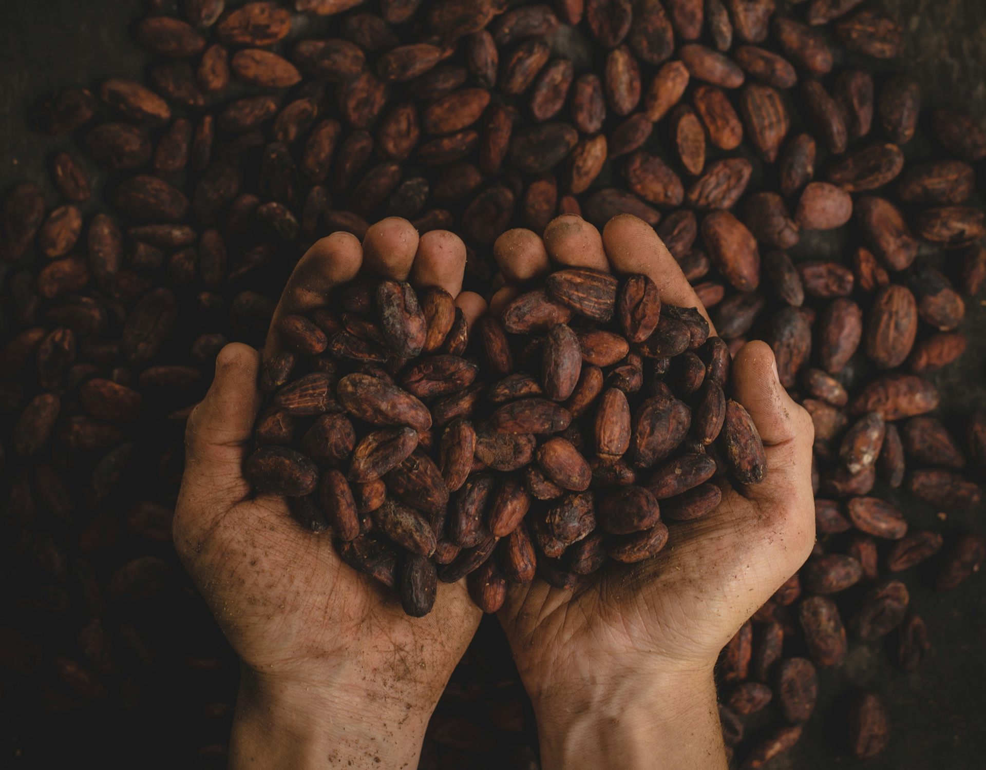 L&rsquo;impunité s&rsquo;écrase : un monde menacé par la barbarie