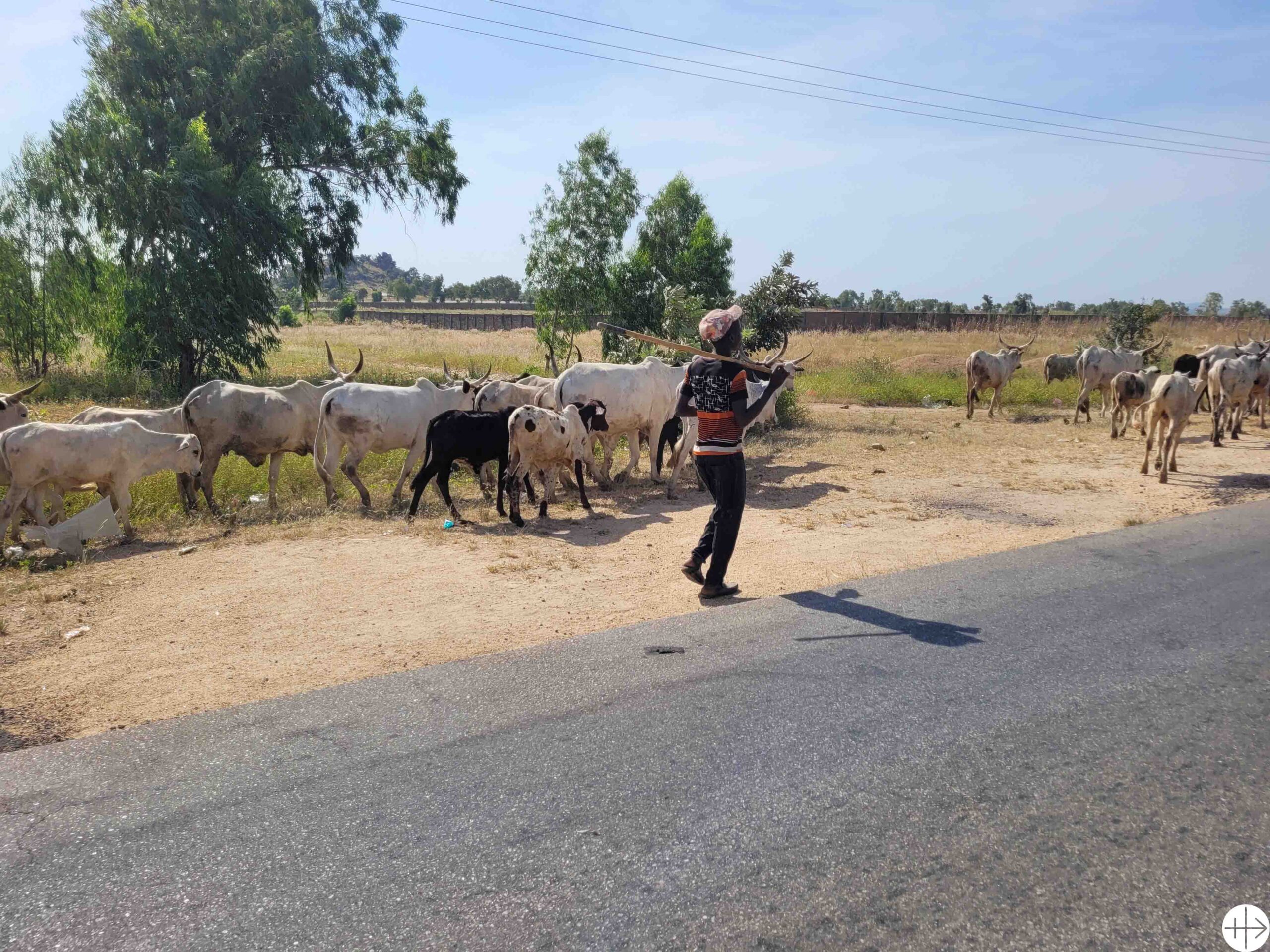 Un record de baptêmes en France et une famine chrétienne au Nigeria